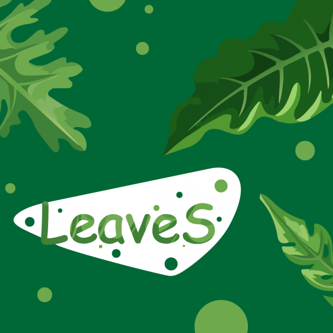 Leaves